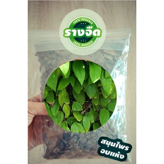 รางจืด อบแห้ง 100g แก้พิษยาเบื่อ สารเสพติดหรือสารเคมีที่สะสมตกค้างในร่างกาย