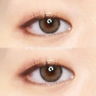 คอนแทคเลนส์ Mini Olivia Brown / Light Brown / Gray (Kitty Kawaii) ขนาดมินิ 🌷 ลายฮิต ขายดีมาก