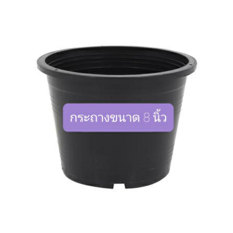 กระถาง ขนาด 8 นิ้ว  กระถางต้นไม้ กระถางพลาสติก สีดำ ปากกว้าง 7.5 นิ้ว