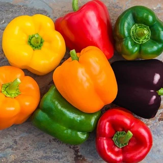 เมล็ดพริกหวาน คละสี/ส้ม/ม่วง/เหลือง/แดง 50-140 เมล็ด Bell Pepper Color เมล็ดนำเข้า สายพันธุ์ OP