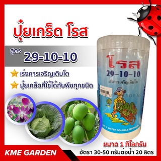 🪴ปุ๋ยเกล็ด🪴 โรส สูตร 29-10-10 ขนาด 1 กิโลกรัม เร่งการเจริญเติบโต สามารถละลายน้ำได้ดีดูดซึมธาตุอาหารเข้าทางรากและทางใบ