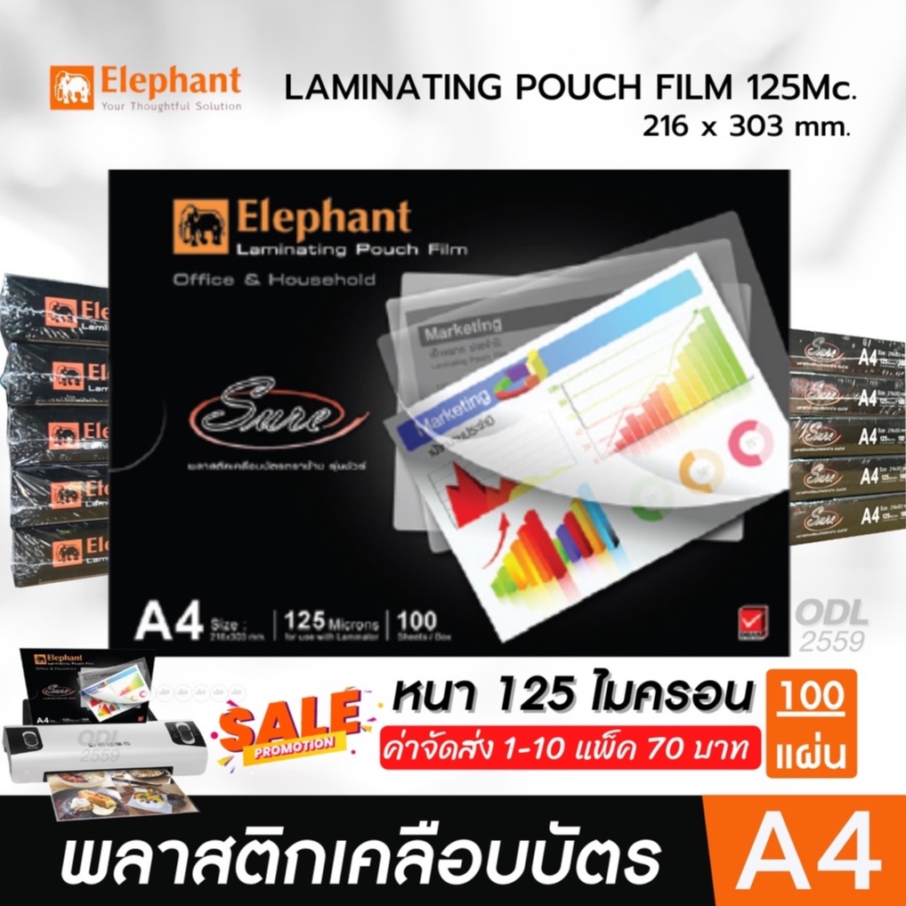 My Image 23