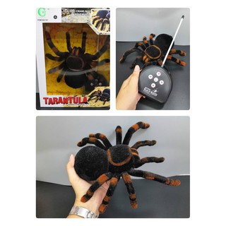 แมงมุมทารันทูล่า (Tarantulas) บังคับด้วยรีโมท เคลื่อนที่ได้เหมือนจริงเดินหน้าถอยหลังมีไฟที่ตา