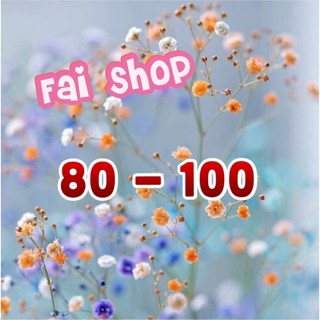 ยอดรวมราคา 80 - 100 บาท