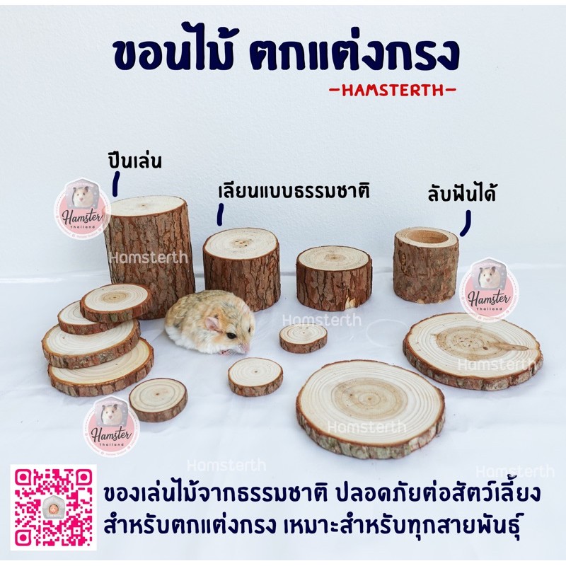 💖Hamsterthailand💖 แผ่นไม้ ขอน ถ้วย ของเล่น สำหรับตกแต่งกรงสัตว์เลี้ยง ช่วยลับฟัน เล็บ 1/2
