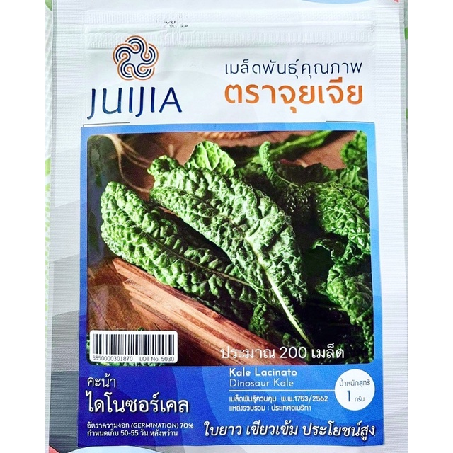จุยเจีย เคล ไดโนซอร์ (ประมาณ 300 -500เมล็ด)