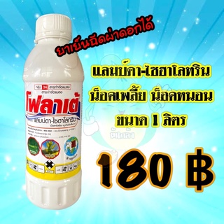 โฟลาเต้ เเลมป์ดาไซฮาโลทริน แลมบ์ดาไซฮาโลทริน แลมด้าไซฮาโลทริน ออกฤทธิ์น็อคหนอน ยาเย็นฉีดผ่าดอกได้ ขนาด 1 ลิตร