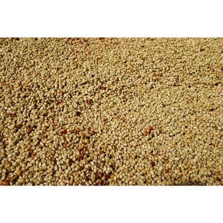 DC Dark Roast ดอยช้าง ขนาด 500g. คั่วเข้ม+ ส่งไว คั่วใหม่ ราคาส่ง เกรด A