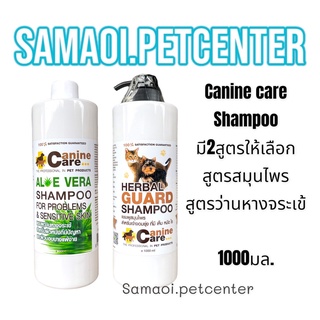 แชมพู Canine care 1000มล.ช่วยดูแลผิวหนัง และบำรุงขนให้เงางาม มี2สูตร ให้เลือก แชมพูว่านหาวงจรเข้, แชมพูสมุนไพร​