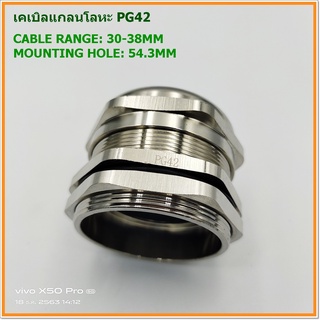 METAL CABLE GLAND SIZE:TPG-42 เคเบิลแกลนโลหะ ทองเหลืองชุบนิเกิ้ล MOUNTING HOLE:54.3MM. CABLE RANGE:30.38MM. IP68