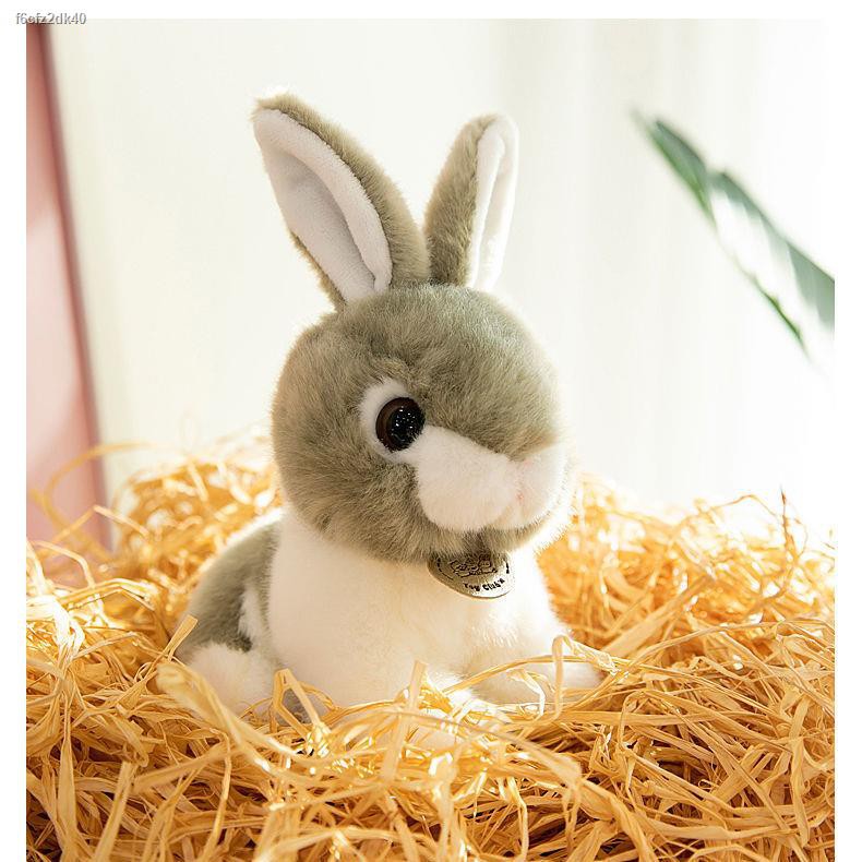 ข้อเสนอพิเศษตุ๊กตาจำลอง ของเล่นตุ๊กตากระต่าย rag doll little white ...