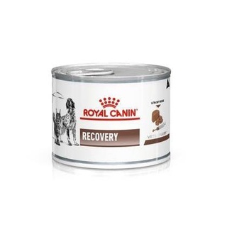 Royal Canin Recovery 195 g อาหารสำหรับสุนัขและแมว พักฟื้น 195 กรัม