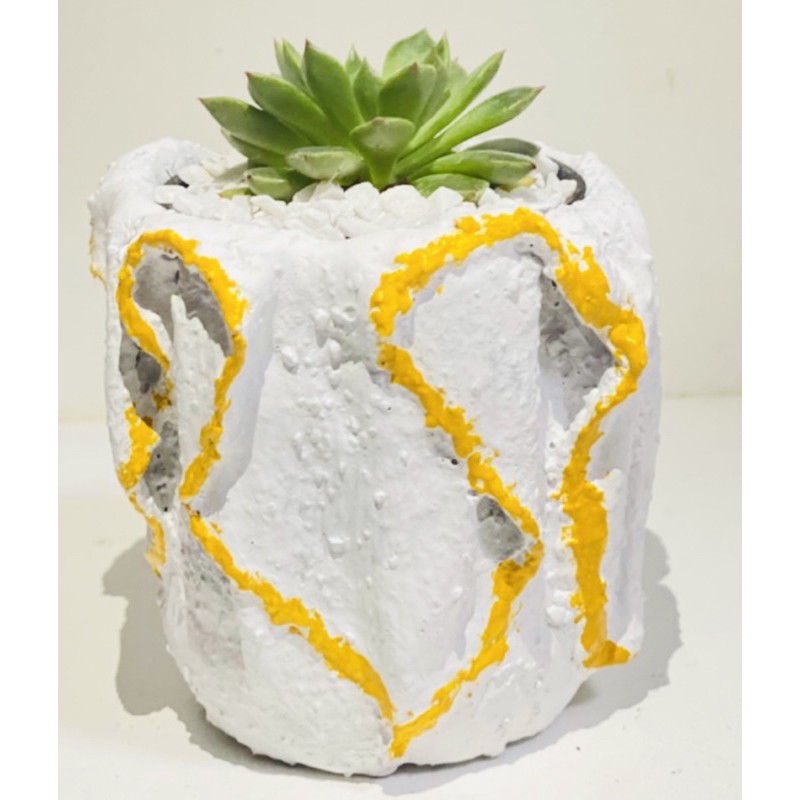 Pot  for room decoration.