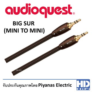 Audioquest Bigsur mini Interconnect Cable