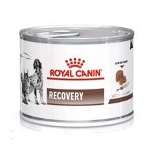 ถูกที่สุด  short exp.กรุณาอ่านก่อนซื้อRoyal Canin RECOVERY อาหารสัตว์ป่วยพักฟื้น (Exp.04/2024) ราคา70ปกติ115