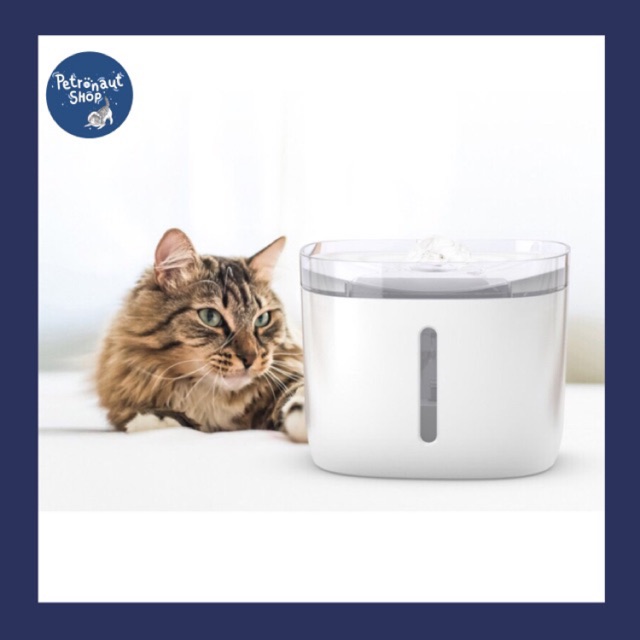 น้ำพุ Petoneer Fresco Mini ✨