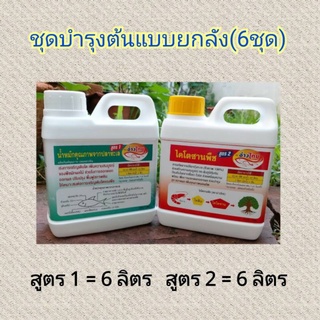 ชุดบำรุงต้นและใบยกลังคละ 12ลิตร ช่วยพืชเจริญเติบโตเร่งยอด เร่งราก เร่งใบได้ดี เป็นชีวภาพ ปลอดภัย100%ใช้ได้ทุกพืช