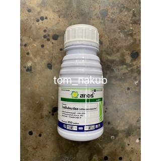 สกอร์ 250 ซีซี สารไดฟีโนโคนาโซล (difenoconazole) บ. ซินเจนทา