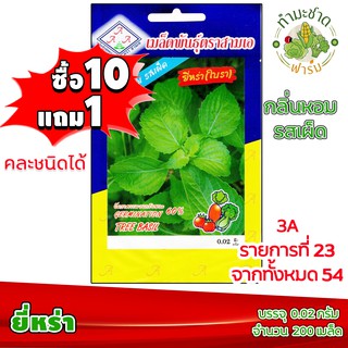 (ซื้อ10แถม1) เมล็ดพันธุ์ ยี่หร่า Tree basil ประมาณ 200เมล็ด 3A สามเอ ผักสวนครัว เมล็ดพันธุ์พืช เมล็ดผัก เม็ดผัก พืชผัก