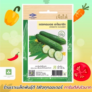 แตงกวา หอมเตย อะโรมาติก(Aromatic Cucumber) 15 เมล็ด แตงใบเตย หอมใบเตย แตงหอมเตย เจียไต๋ ใบเตย