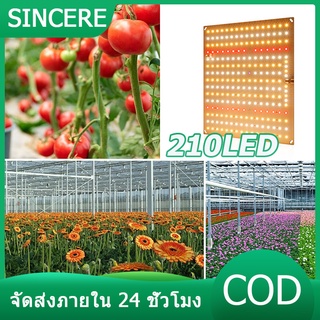 ไฟปลูกต้นไม้ LED Grow Light Full Spectrum ไฟปลูก พร้อมสวิตซ์ปรับความสว่าง พืชเติบโตแสงโคมไฟสำหรับเรือนกระจกแสงการเจริญเต