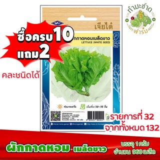 (ซื้อ10แถม2) เมล็ดพันธุ์ ผักกาดหอม เมล็ดขาว Lettuce ประมาณ 960เมล็ด เจียไต๋ เมล็ดพันธุ์พืช เมล็ดพันธุ์ผัก เมล็ดผัก