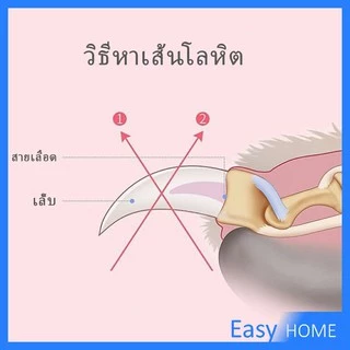 กรรไกรตัดเล็บสุนัข แมว แถมตะไบ สีดำ-แดง อุปกรณ์ตัดเล็บสัตว์เลี้ยง สแตนเลสด้ามแดง กรรไกรตัดเล็บหมา Pet nail clippers