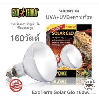 หลอดรวม โซล่าโกลด์ UVA-UVB Exo Terra – Solar Glo 160W (ของแท้)