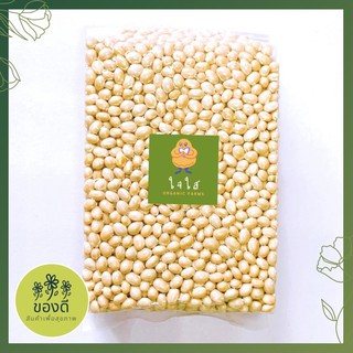 ถั่วขาวมัน Navy bean ออร์แกนิค 500g