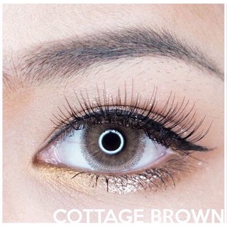 Cottage Brown (2) สีน้ำตาล น้ำตาล โทนฝรั่ง โทนเซ็กซี่ Kitty Kawaii ค่าอมน้ำสูง Contact Lens Bigeyes สายตาสั้น ค่าสายตา