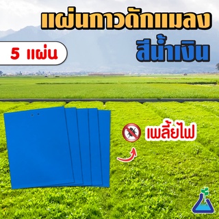 แผ่นกาวดักแมลง (สีฟ้า) ขนาด 20 x 25 เซนติเมตร จำนวน 5 แผ่น Blue Sticky Trap 20 x 25 cms 5 pcs