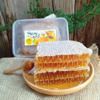 [ลูกค้าใหม่ 1 บาท]🎄ส่งไว⚡ ราคาส่ง รังผึ้ง ไซส์จัมโบ้ 400 กรัม รวงผึ้งสด ถูกที่สุด💥ลดพิเศษคุ้มสุดๆ พร้อมส่ง🐝
