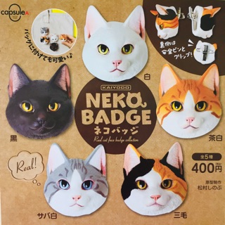 กาชาปอง Neko Badge Real cat face badge collection