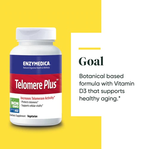 Enzymedica, Telomere Plus Contains 30 Capsules. (No.290) | Thailand