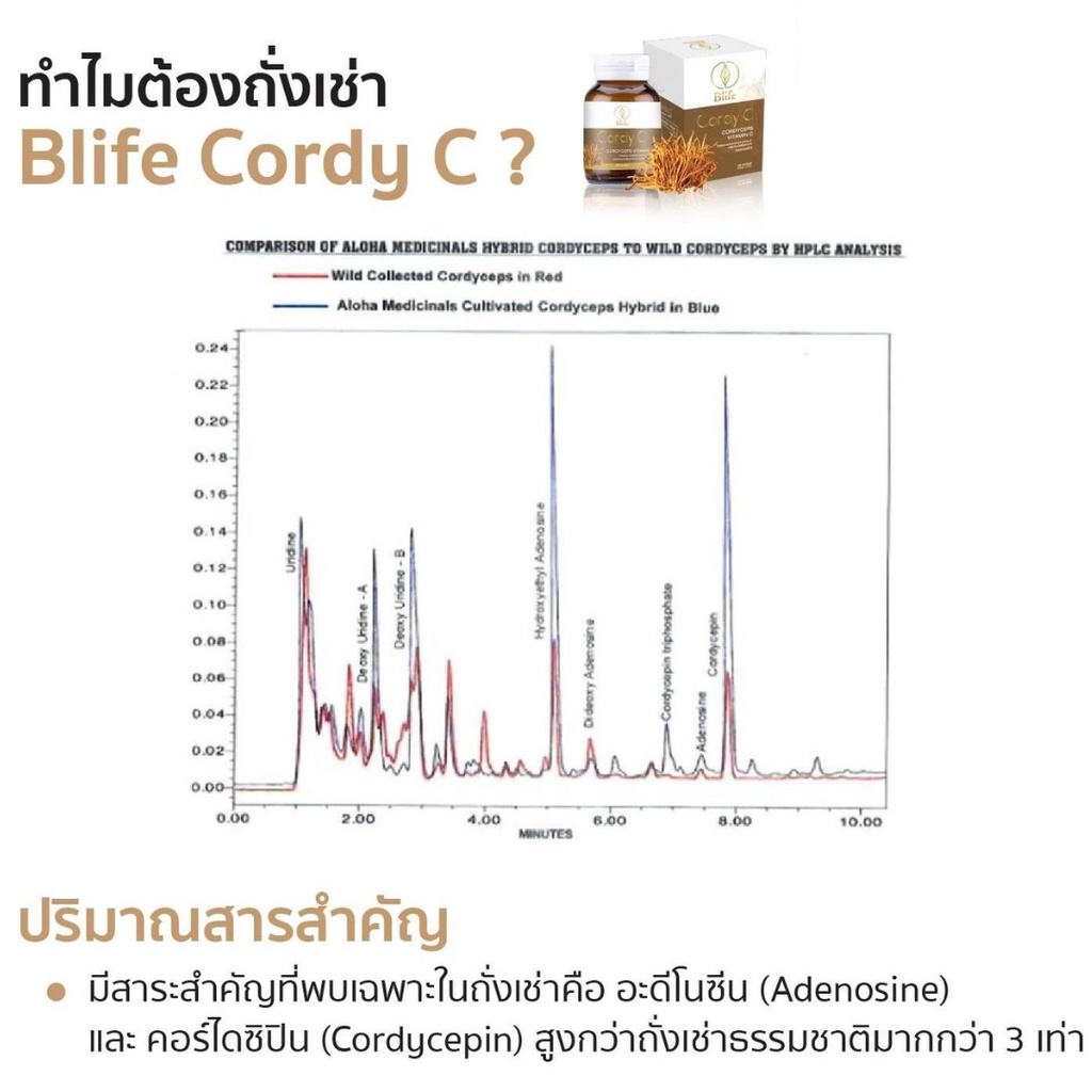 Blife Cordy C ไบล์ฟ คอร์ดี้ซี ยาอายุวัฒนะ สุขภาพที่ดี - rohidamasoh ...