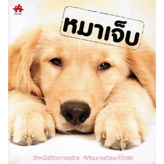 หนังสืออ่านเล่น หมาเจ็บ หนังสือสำหรับคนรักสุนัข