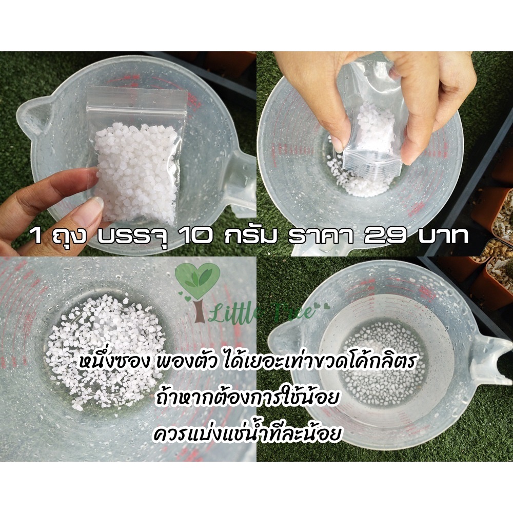 ดินปลูกพลูด่าง ดินวุ้น ปลูกไผ่กวนอิม และใช้ปลูกพืชรากน้ำได้ทุกชนิด แช่น้ำก่อนปลูก ราคา ถูกที่สุด ดีลบีเคเค แกลเลอรีภาพที่ 6