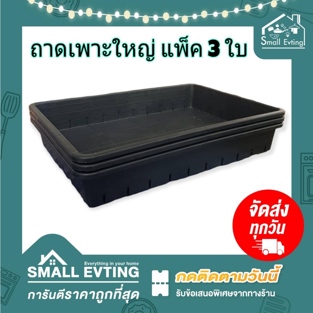 Small Evting ( แพ็ค 3 ใบ ) ถาดเพาะต้นไม้ No.1111