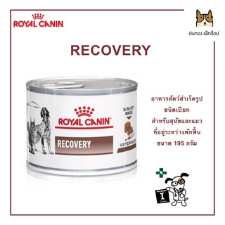 ROYAL CANIN RECOVERY ขนาด 195 กรัม