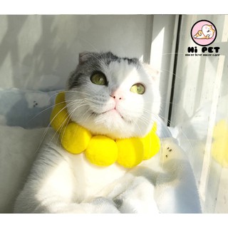 Hi Pet  Pet Collar  ปลอกคอสัตว์เลี้ยง ดอกทานตะวัน【PS0002】