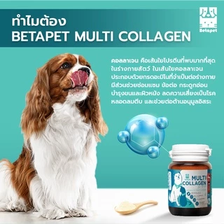 BETAPET อาหารเสริมคอลลาเจน 100% สำหรับสุนัขและแมว บำรุงขนและผิวหนัง เพิ่มความชุ่มชื้น ลดผิวหนังหลุดลอกเป็นขุย