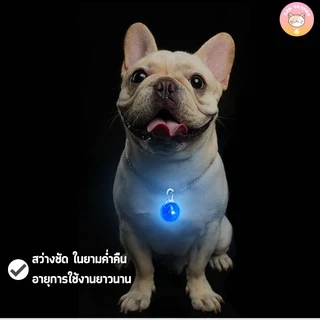 ปลอกคอ ไฟกระพริบ จี้ไฟLEDกระพริบ3โหมด สำหรับสุนัข 8สี ทนทาน เดินทางกลางคืนปลอดภัย C006