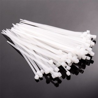 100 Pcs 2.5x100 mm Nylon Packaging String Wire Zip Cable Ties Black