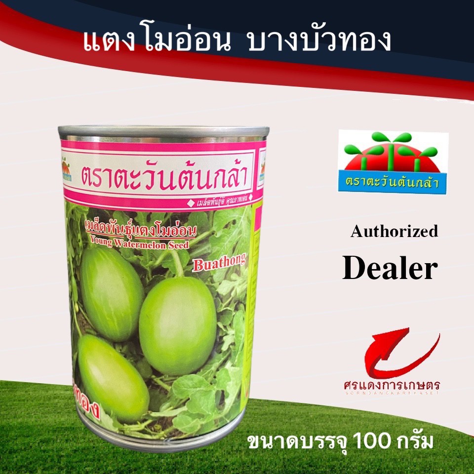 เมล็ดพันธุ์ แตงโมอ่อนบัวทอง 100g  250 กรัม
