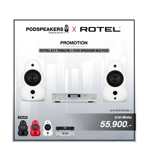 ROTEL A11 TRIBUTE + POD SPEAKER BIG POD