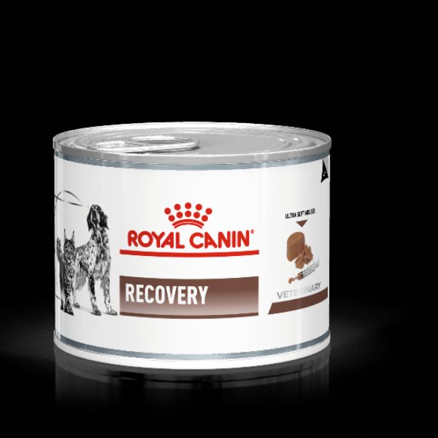 โปรดอ่านก่อนสั่ง Royal Canin Recovery บรรจุ 195g 12 กระป๋อง อาหารสัตว์ป่วย หรือพักฟื้น สุนัข และแมว