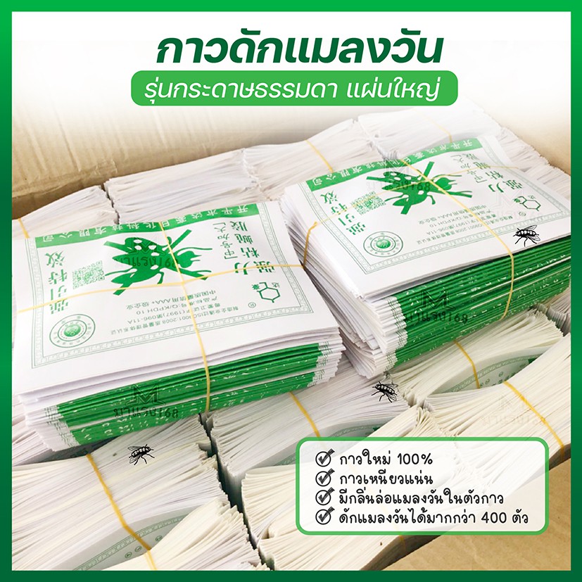 กาวดักแมลงวัน ยกลัง 2000แผ่น รุ่นกระดาษ แบบมัด ขายดี