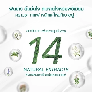 Dentiste' Travel Pack Whitening (Foldable) เซ็ตยาสีฟันสูตร Premium White พร้อมแปรงพับ แบบพกพา สำหรับท่องเที่ยว เดนทิสเต้