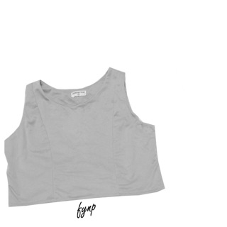 Gray Crop Top 🐦