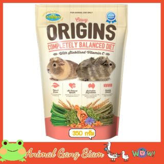 Origins cavy 350 กรัม หนูเเก๊สบี้ หนูขวัญ หนูตะภา